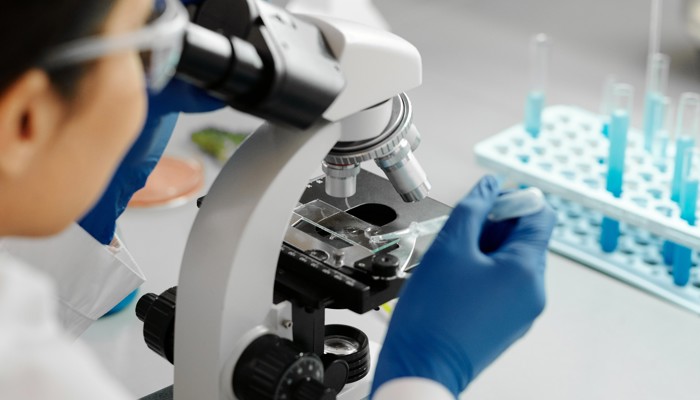 person looking at a slide through a microscope